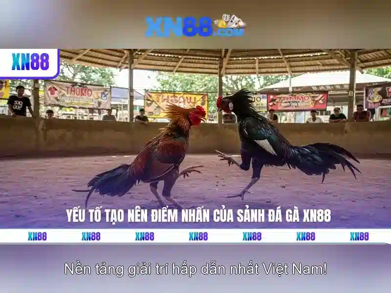 Lịch sử và phát triển