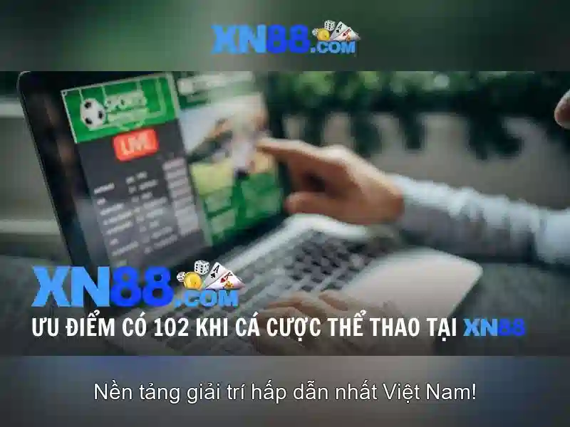 Giới thiệu về xn88