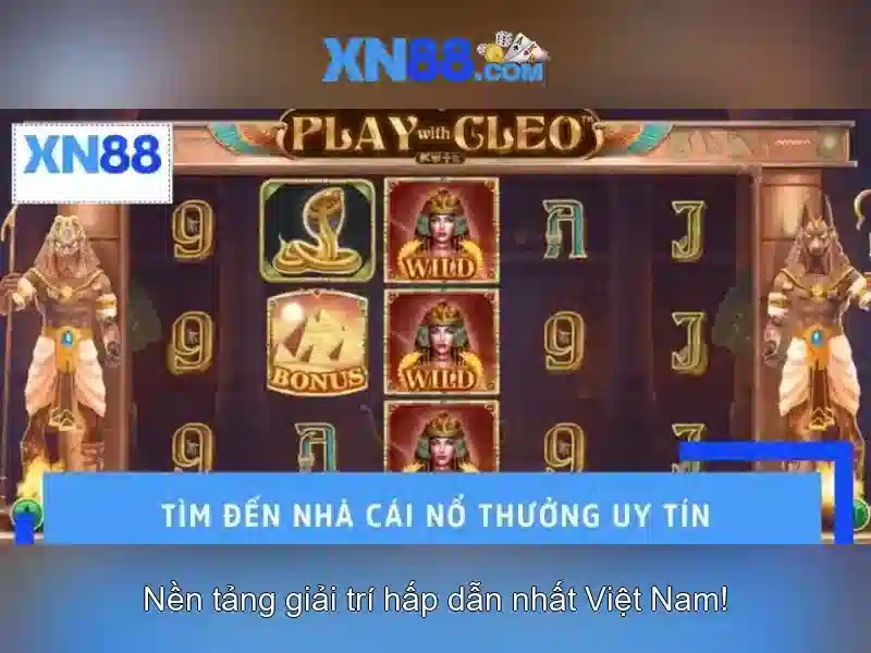 Hướng dẫn tham gia và lưu ý