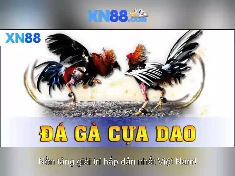 xn88 - một nền tảng cược trực tuyến phổ biến tại Việt Nam