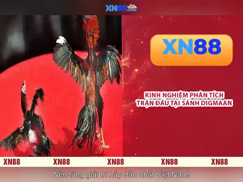 Về xn88: Tổng quan và trải nghiệm người dùng