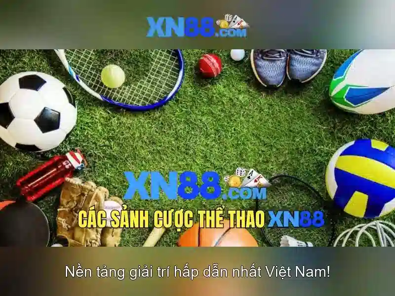 Khuyến mãi và chương trình thưởng Khuyến mãi và chương trình thưởng