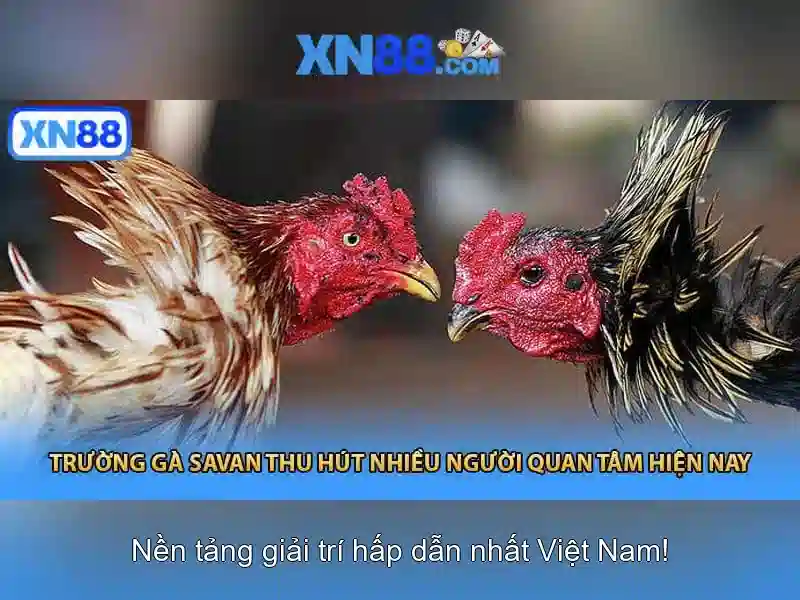 xn88 là gì? Khám phá nền tảng chơi game và cược trực tuyến