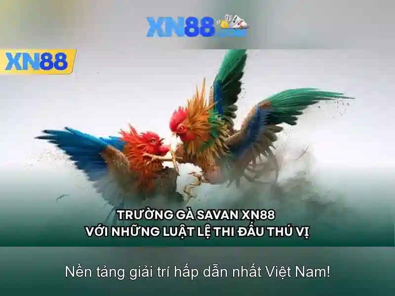 Giao diện người dùng và bảo mật Giao diện người dùng và bảo mật