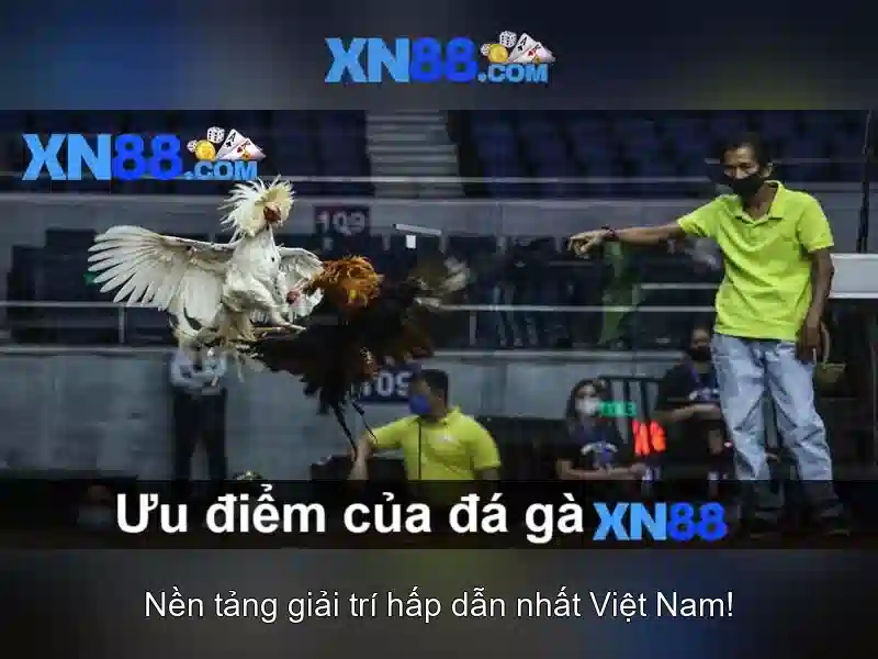 Lịch sử và phát triển. Lịch sử và phát triển.