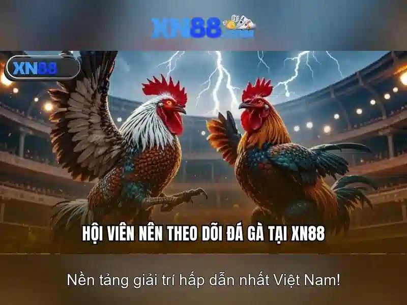Các tính năng nổi bật