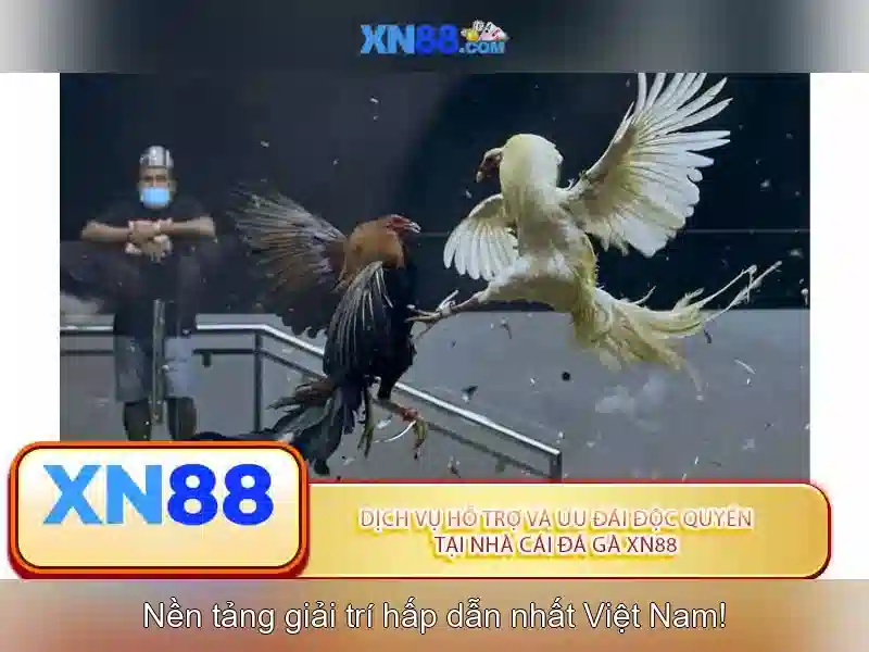 xn88: Giới thiệu và khám phá nền tảng chơi game trực tuyến