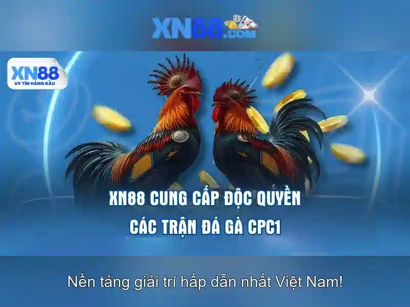 xn88 - Tổng quan về nền tảng cược trực tuyến