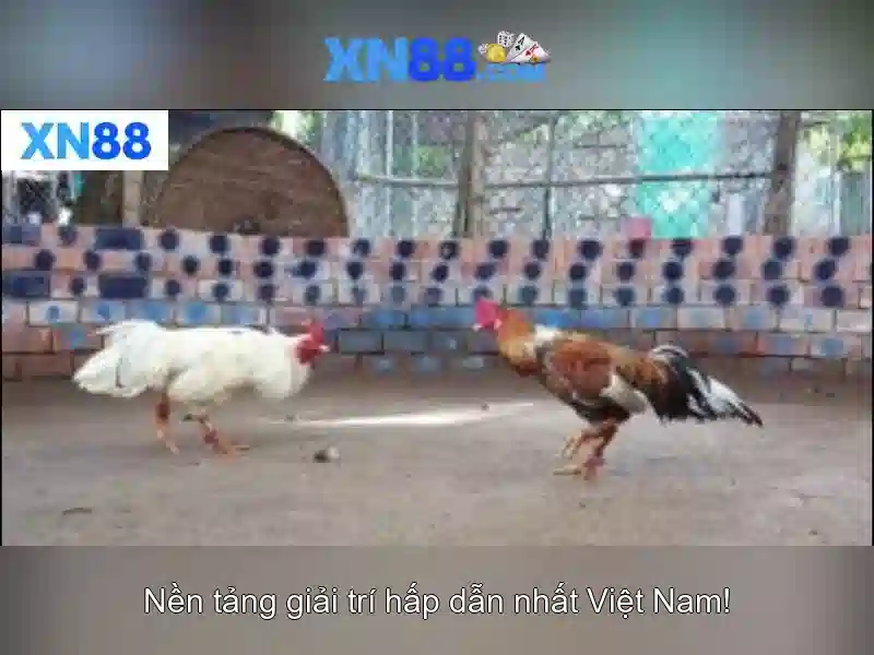 xn88: Khám phá nền tảng cược trực tuyến an toàn và tin cậy