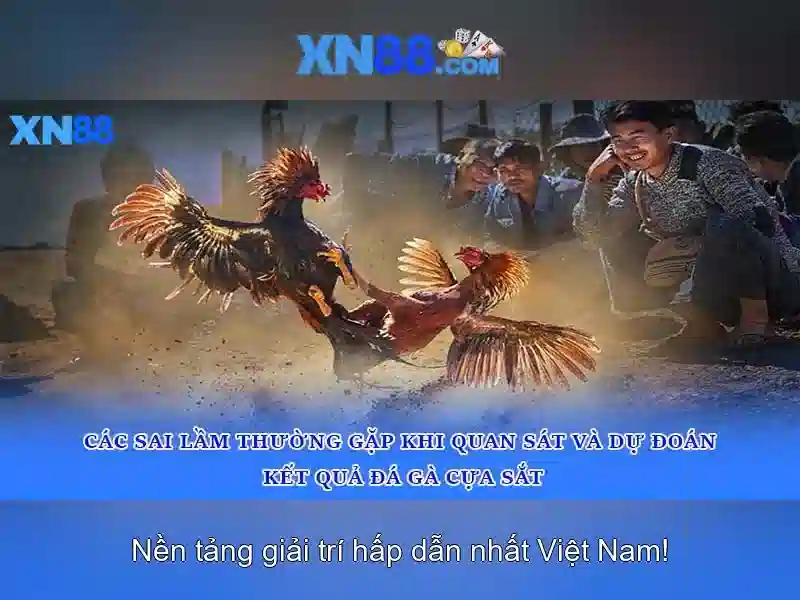 Cổng thông tin và các sản phẩm nổi bật Cổng thông tin và các sản phẩm nổi bật