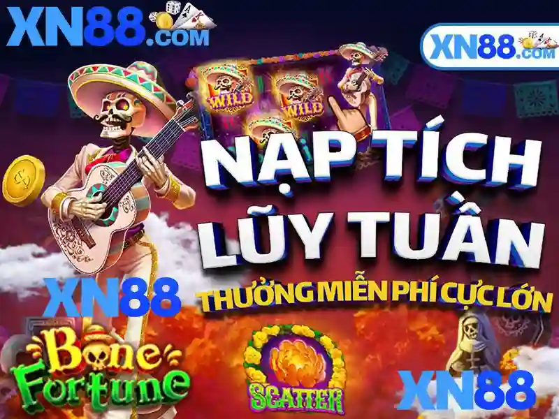 Giới thiệu về XN88 Giới thiệu về XN88