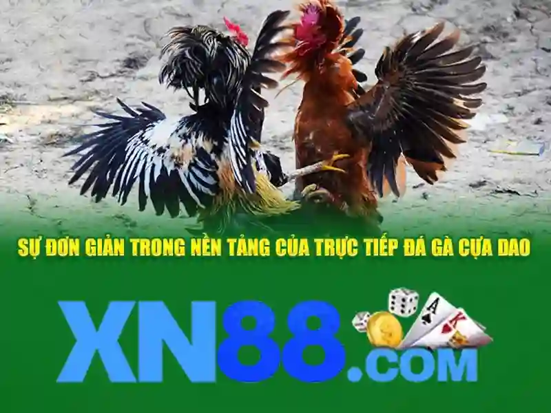 xn88 - Giới thiệu, đánh giá và cập nhật mới nhất