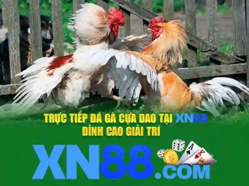 xn88 vip: Trải nghiệm đỉnh cao cùng xn88 bet vip